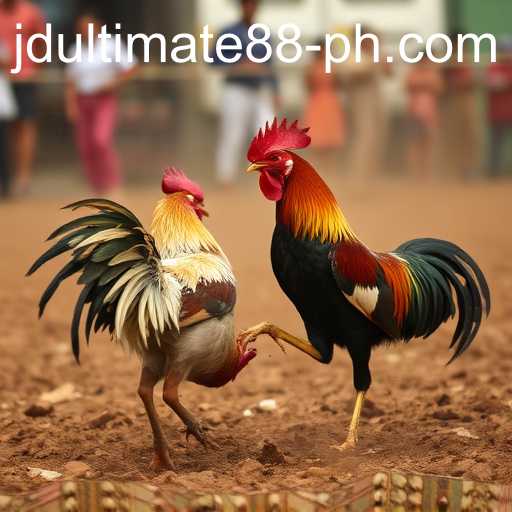 Understanding the Controversy of Cockfighting in Modern Contexts